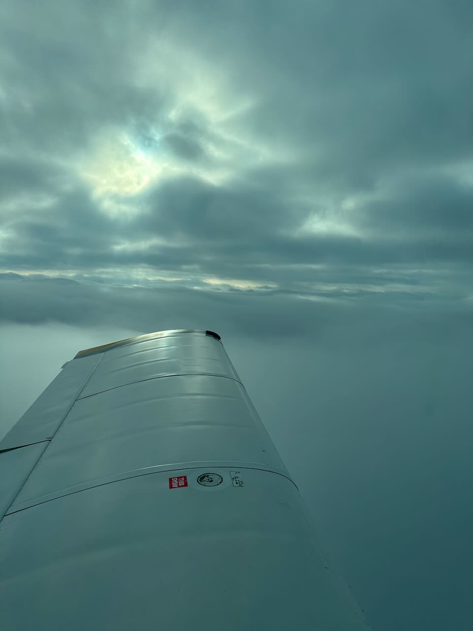 Wing